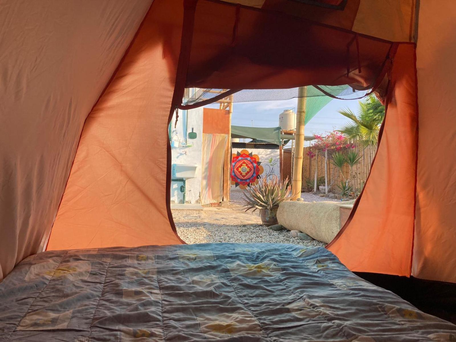 Paracas Camp Lodge & Experiences Экстерьер фото